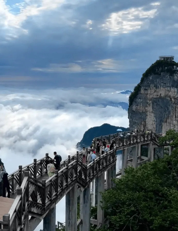去张家界省旅游(去张家界省旅游路线)
