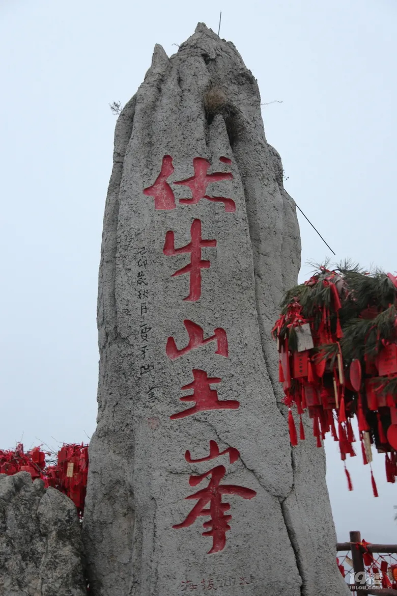 老君山自由行(老君山自由行攻略路线)