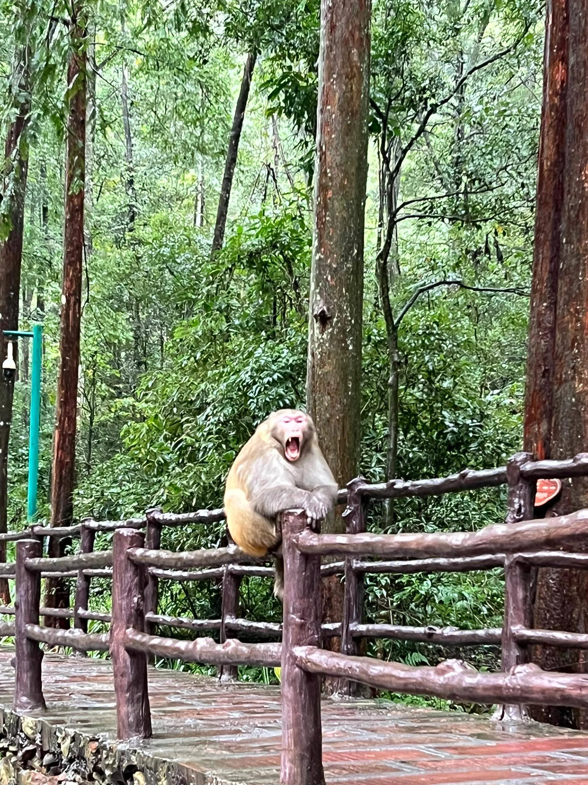 去张家界二天旅游(去张家界旅游几天合适)