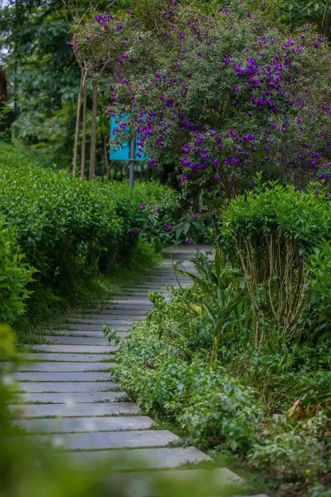 深圳坪山旅游攻略(深圳坪山旅游攻略一日游)