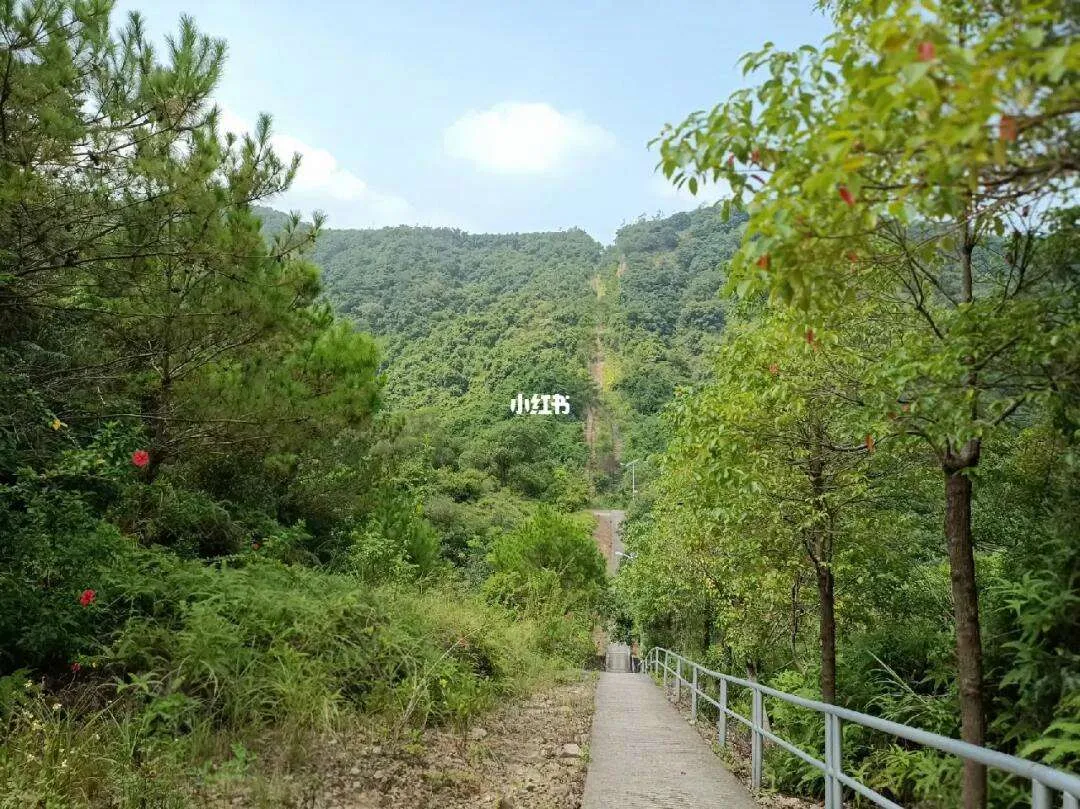 深圳坪山旅游攻略(深圳坪山旅游攻略一日游)