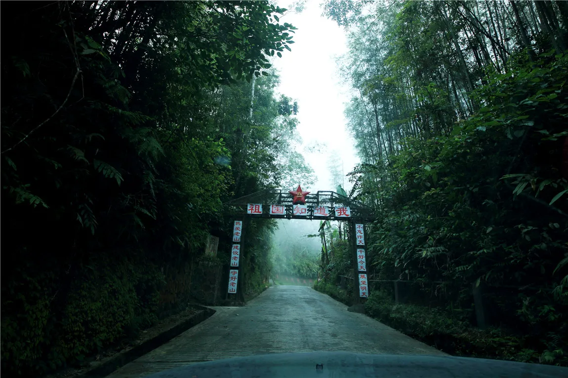 老山旅游(老山旅游节)