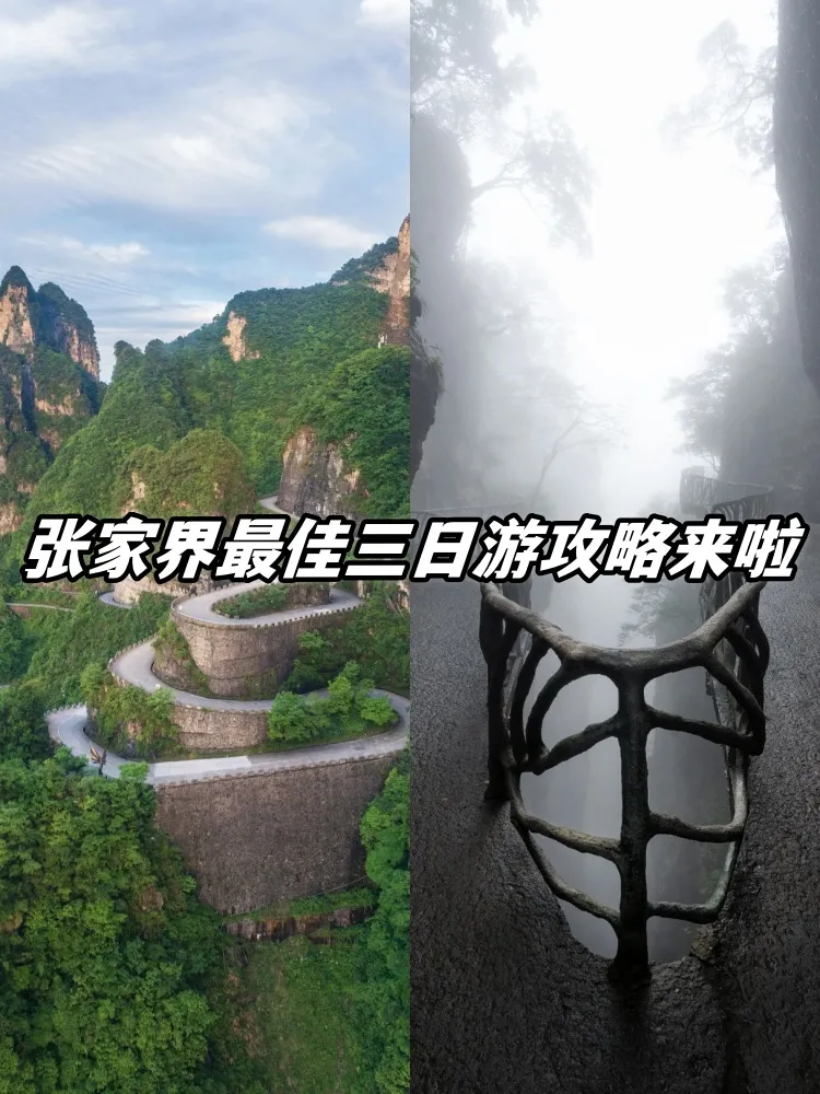 张家界三日游攻略:详细行程(张家界三日游攻略详细行程路线)