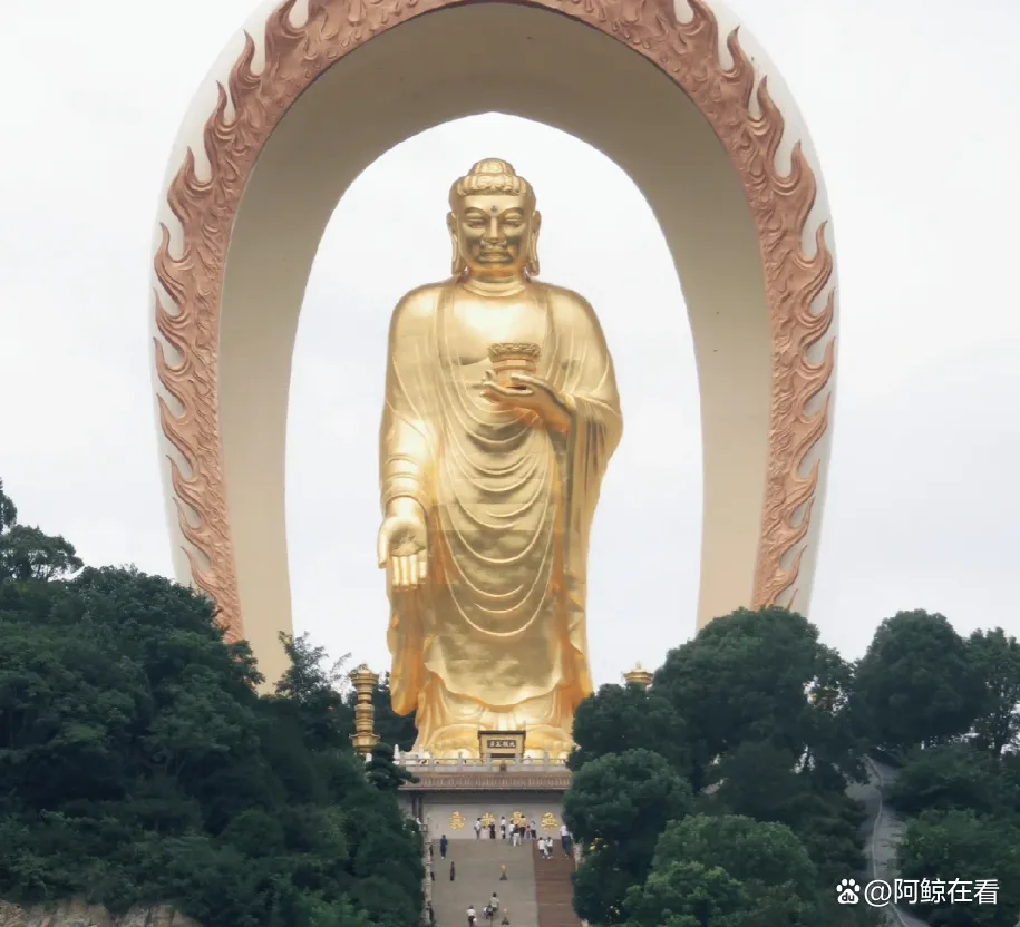 东林大佛一日游攻略(东林大佛一日游攻略图)