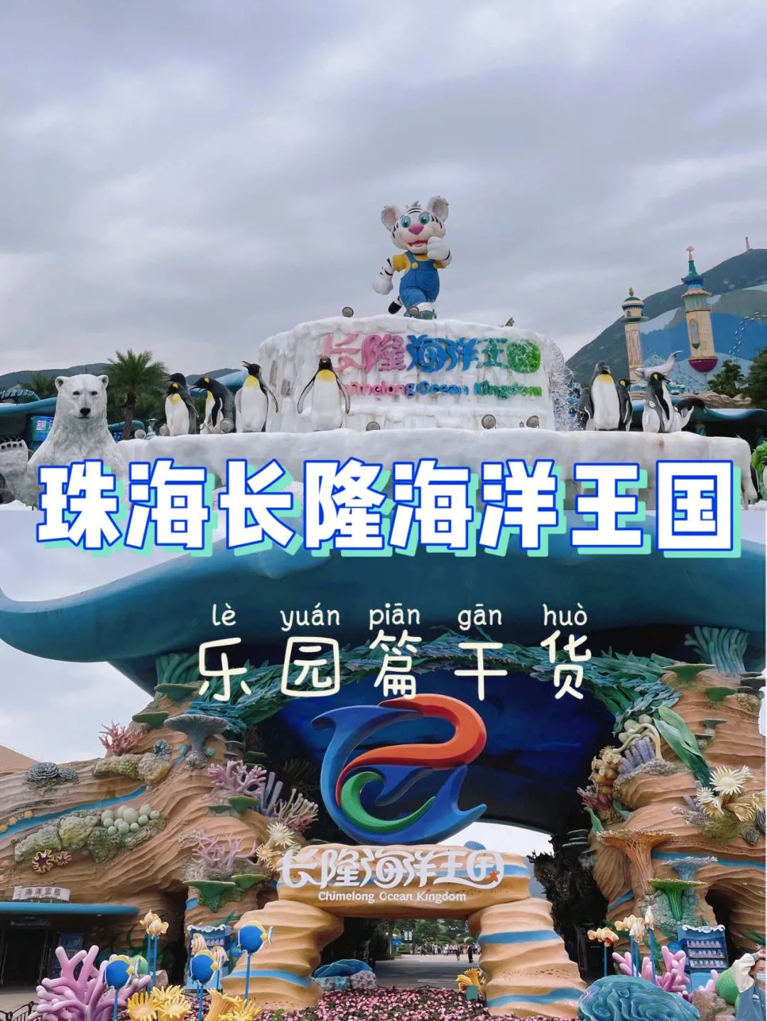 厦门到珠海长隆自由行攻略(厦门到珠海长隆自由行攻略图)