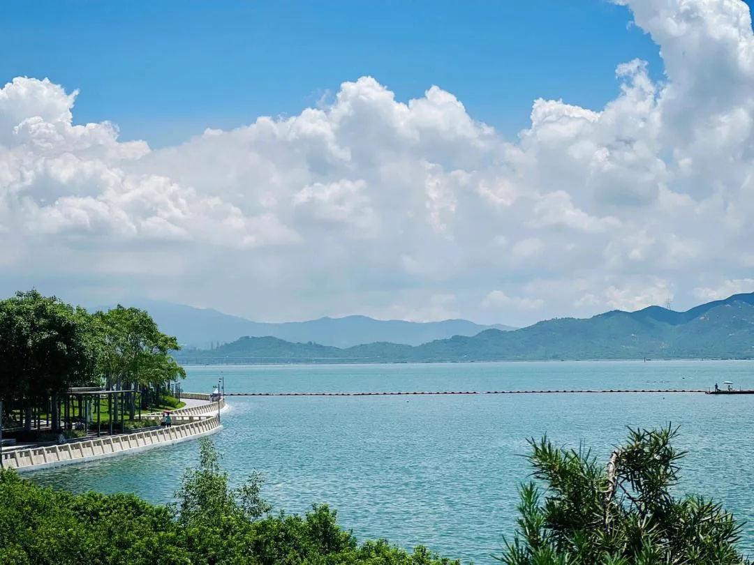 深圳蛇口旅游景点(深圳蛇口旅游景点大全)
