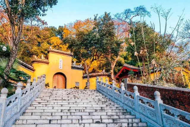 南京旅游必打卡景点(南京旅游必打卡景点大全)