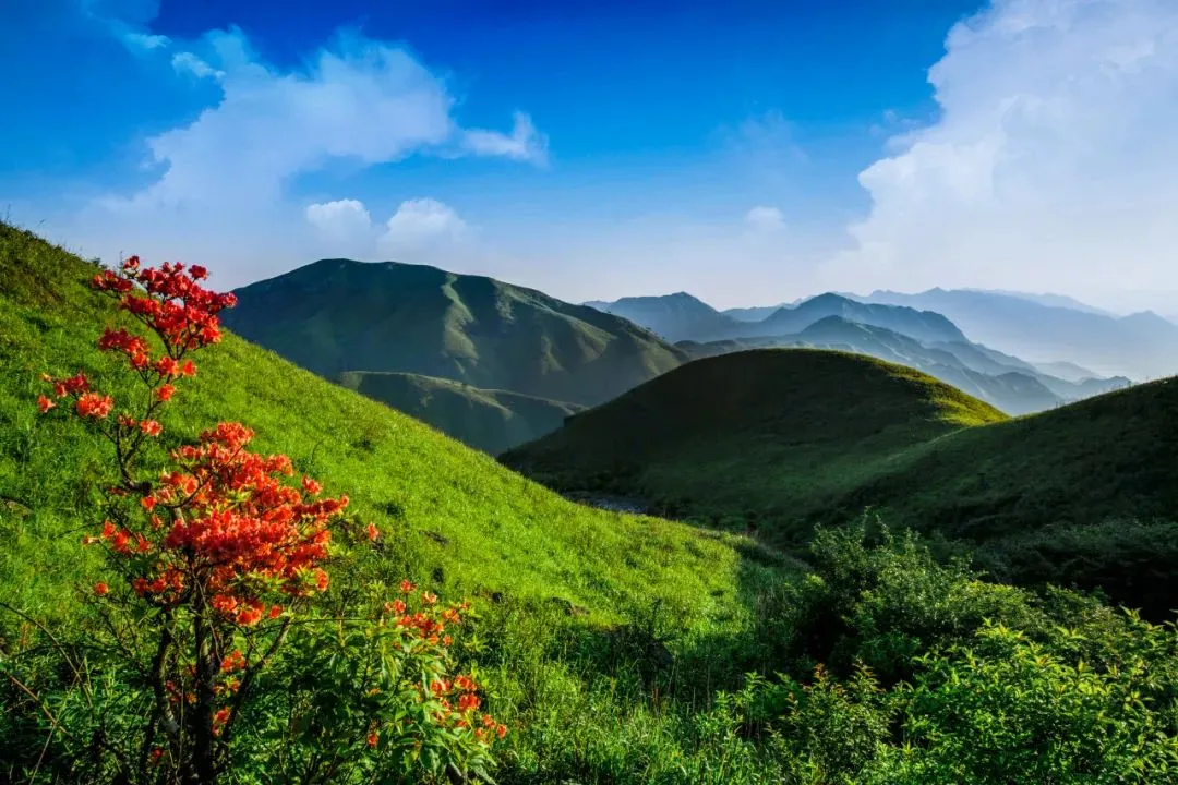 武功山有什么好玩的景点(武功山有什么好玩的景点吗)
