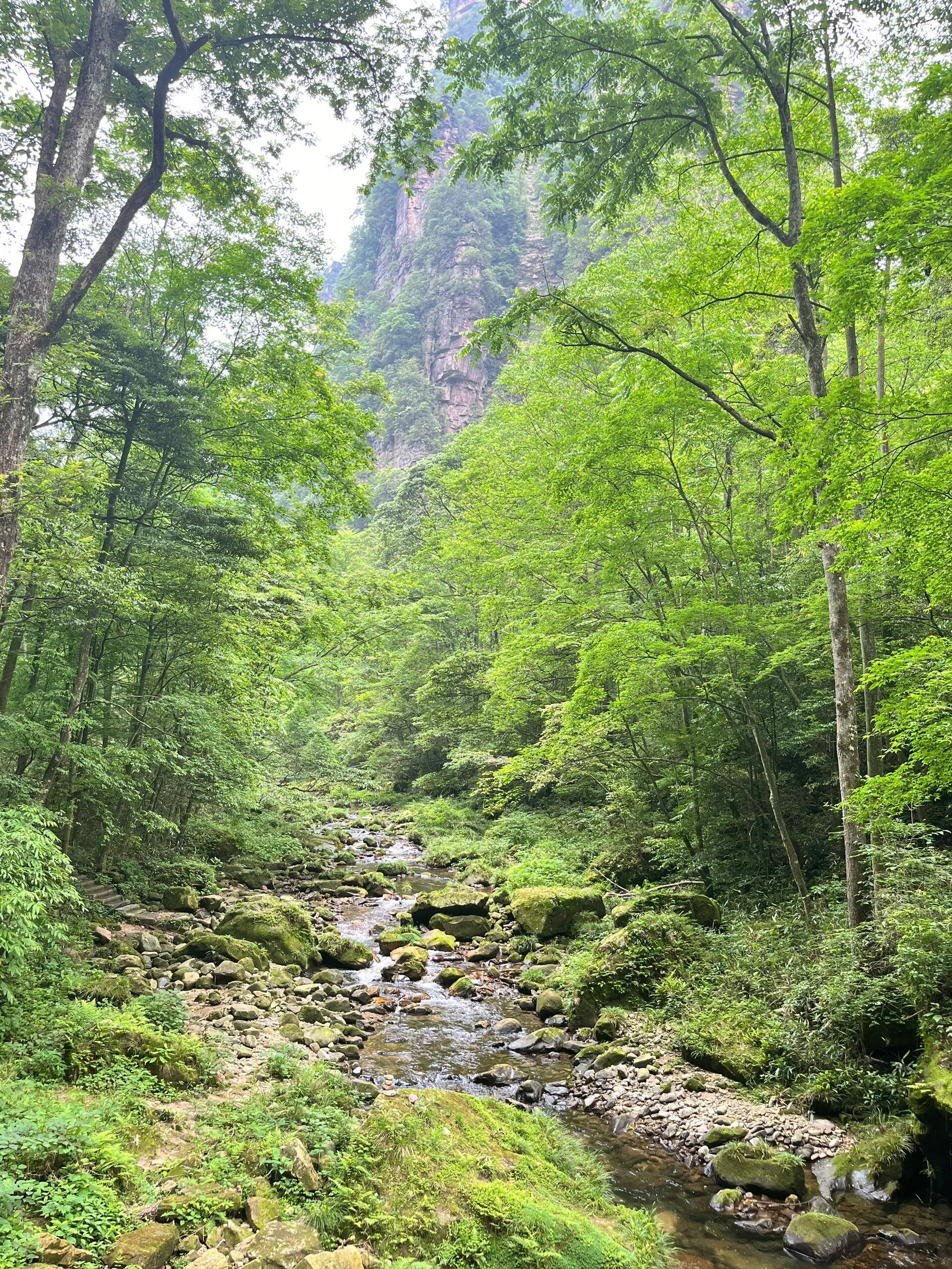 杭州到张家界自驾车旅游(杭州到张家界沿途旅游景点)