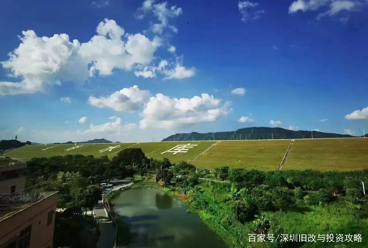深圳光明旅游景点(深圳光明的旅游景点有哪些好玩的)