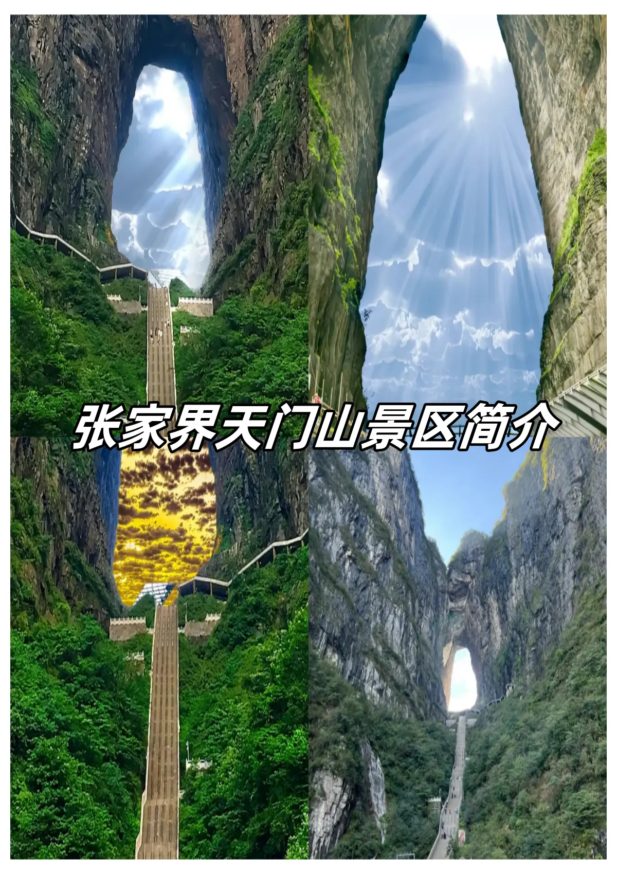 怎样游张家界天门山(自驾张家界天门山景区攻略)