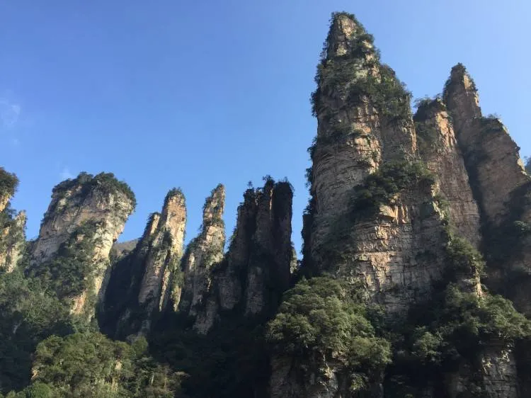 5日纯玩旅游张家界(张家界旅游五日游价钱)