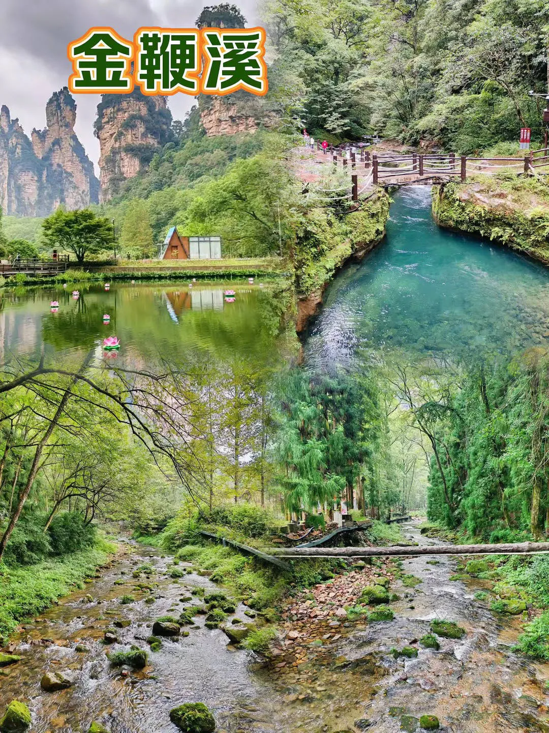 张家界天门山旅游11月攻略(张家界天门山门票什么时候售票)