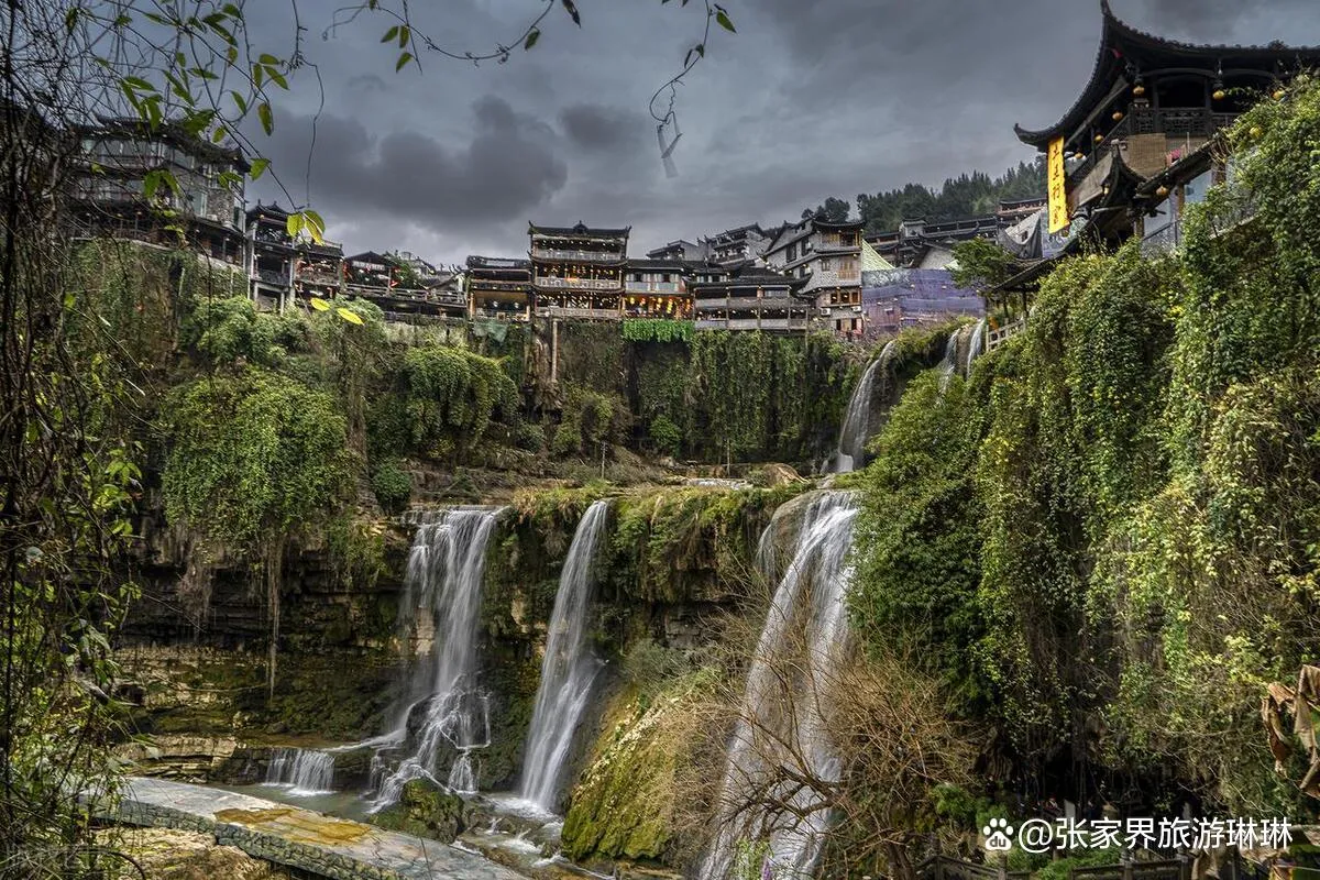 去张家界旅游的旅游(去张家界旅游的旅游攻略)
