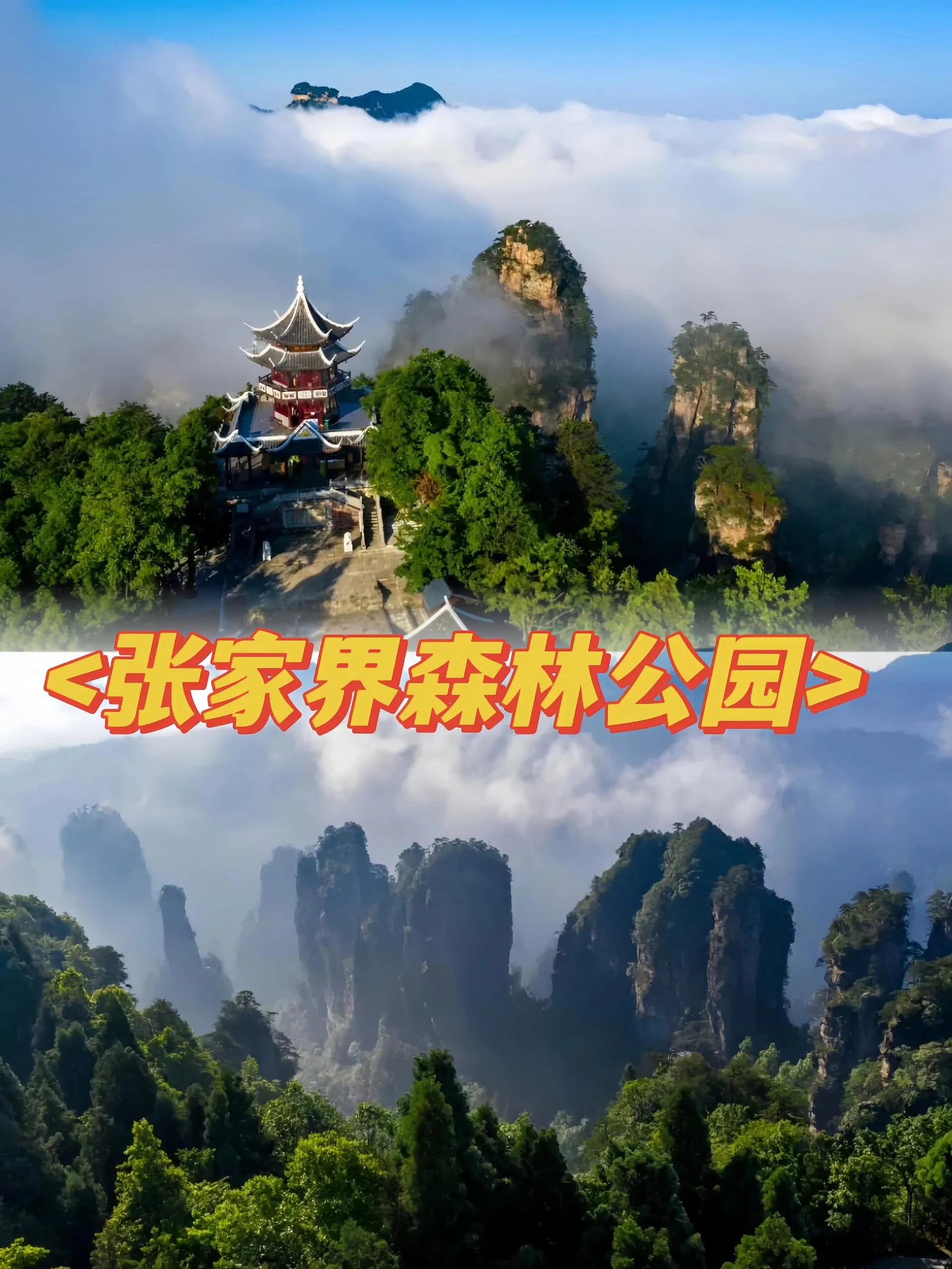 张家界旅游哪(张家界旅游哪个站下车)