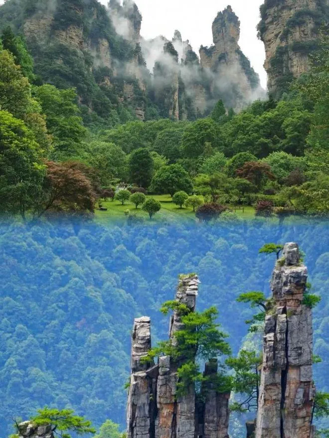3天旅游张家界(张家界三天旅游线路)