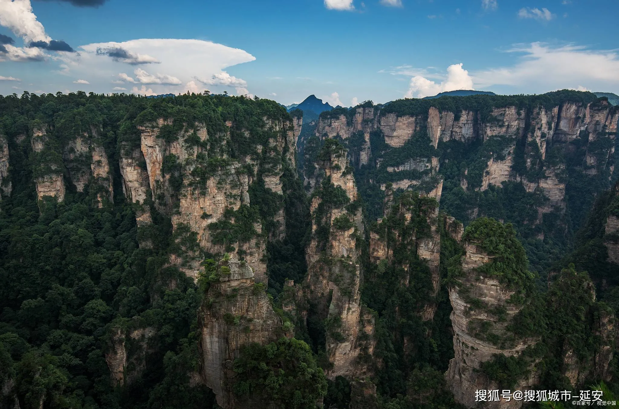 3天旅游张家界(张家界三天旅游线路)