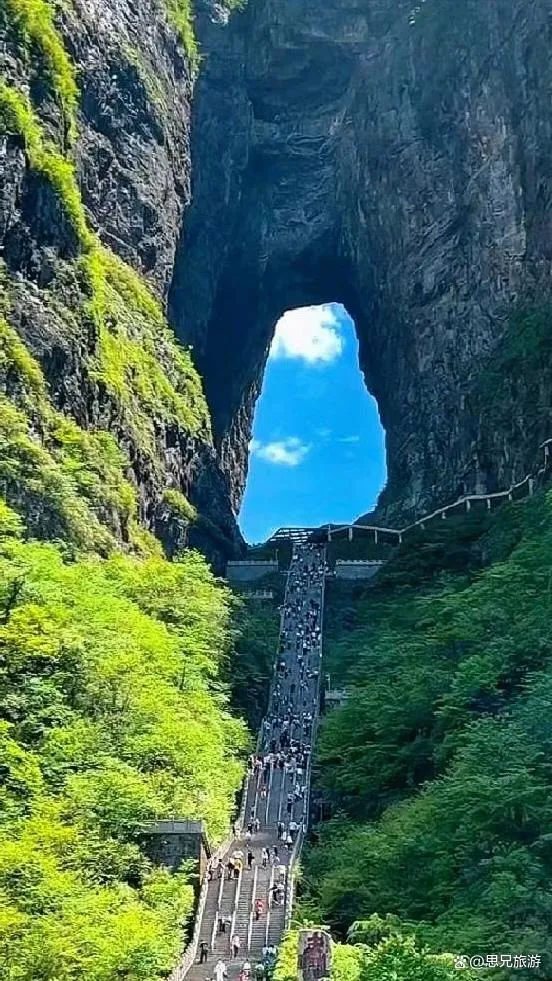 张家界旅游哪里省(张家界旅游景点是哪个省份)