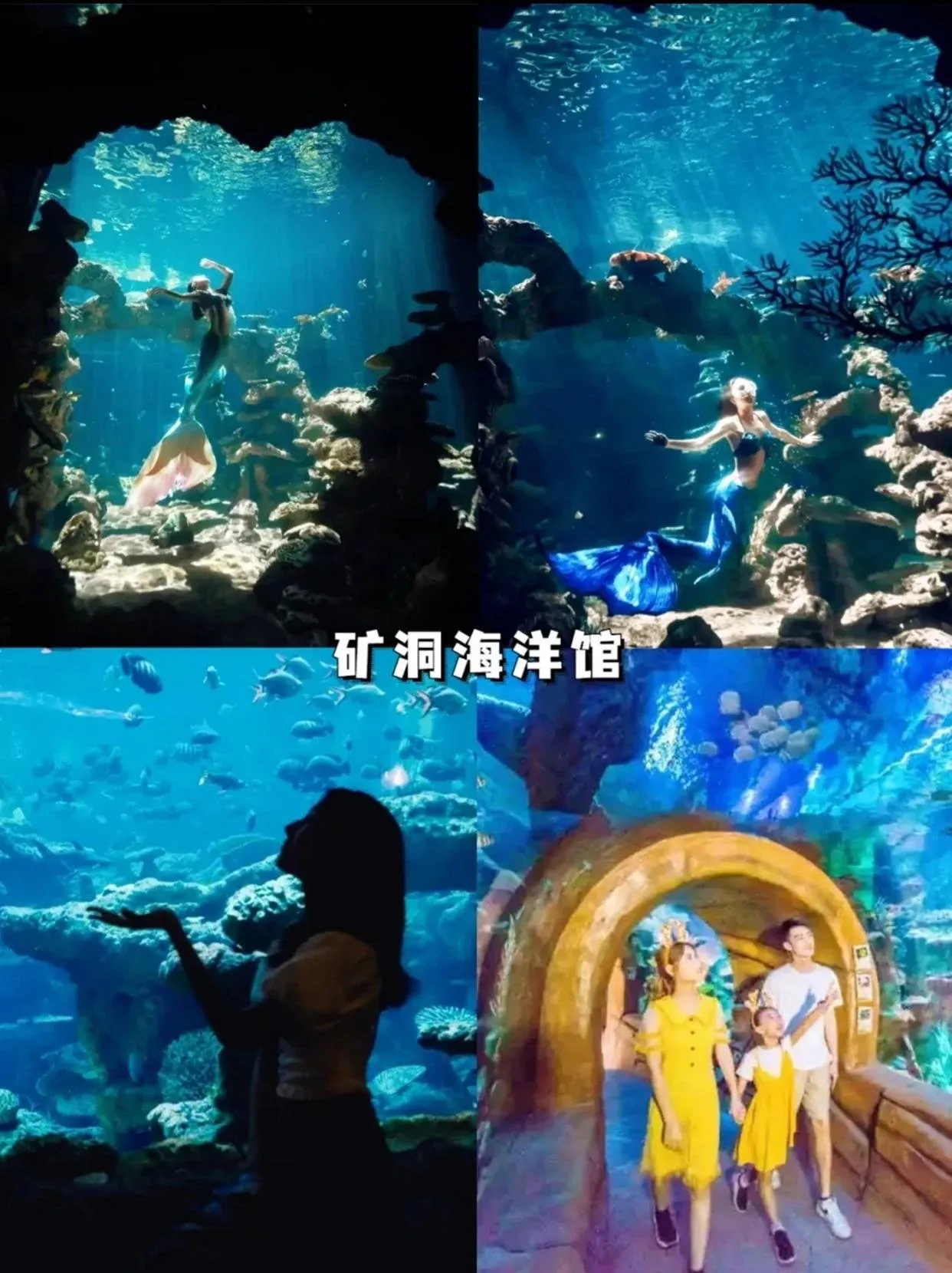 佛山旅游攻略自由行攻略(佛山旅游攻略自由行攻略文章)
