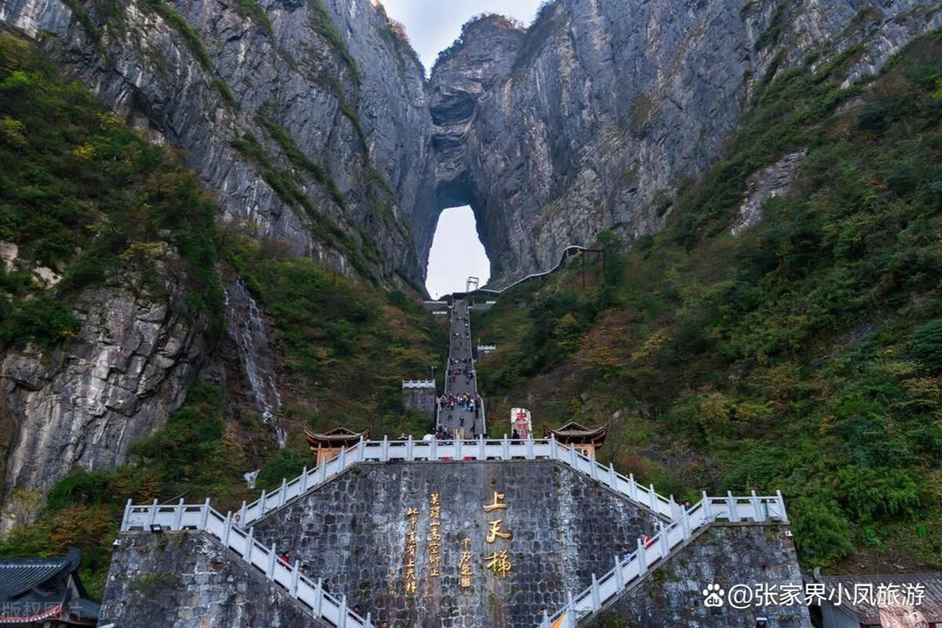 游张家界天门山的感受(游张家界天门山的感受怎么写)