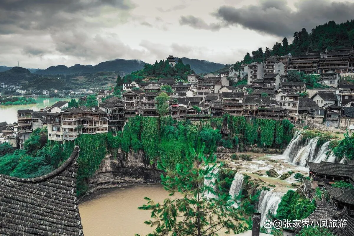 去张家界旅游的旅游(去张家界旅游的旅游攻略)