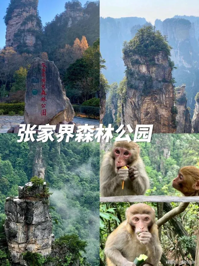 张家界天门山玩一圈要多少钱(张家界天门山景区一天能玩完吗)