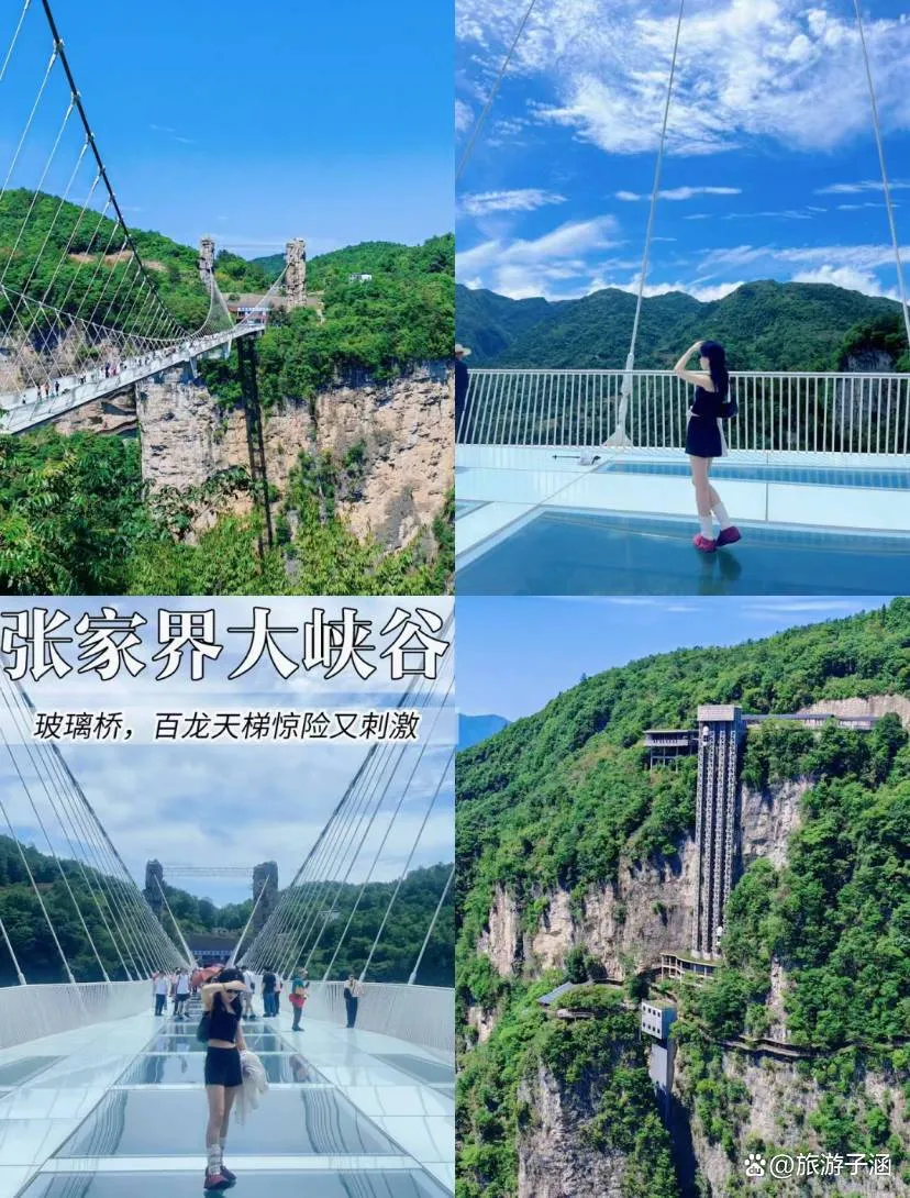 长沙至张家界三日旅游(长沙到张家界三日游报团价格)