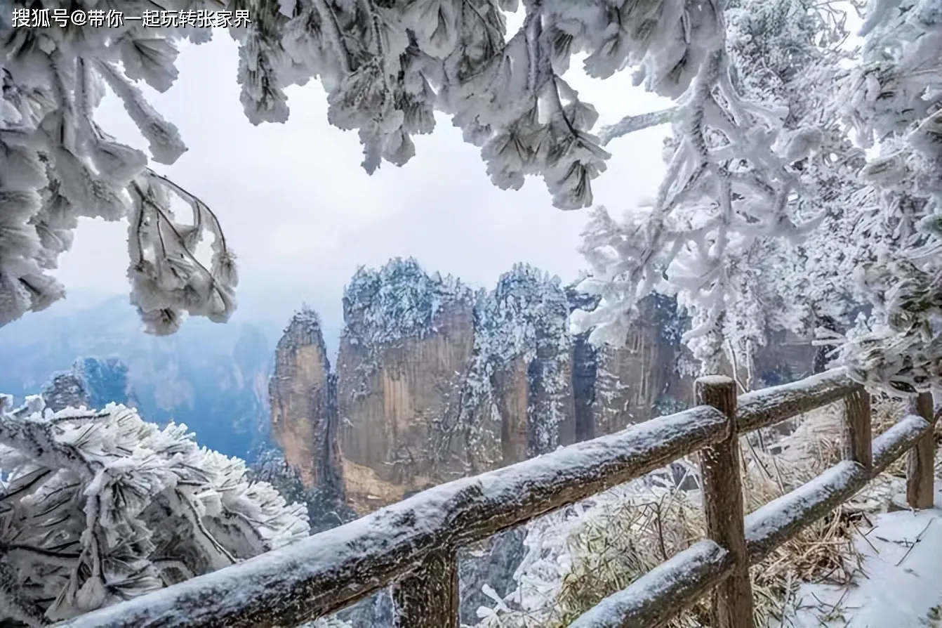 冬天去张家界金鞭溪旅游合适吗(冬天去张家界金鞭溪旅游合适吗现在)