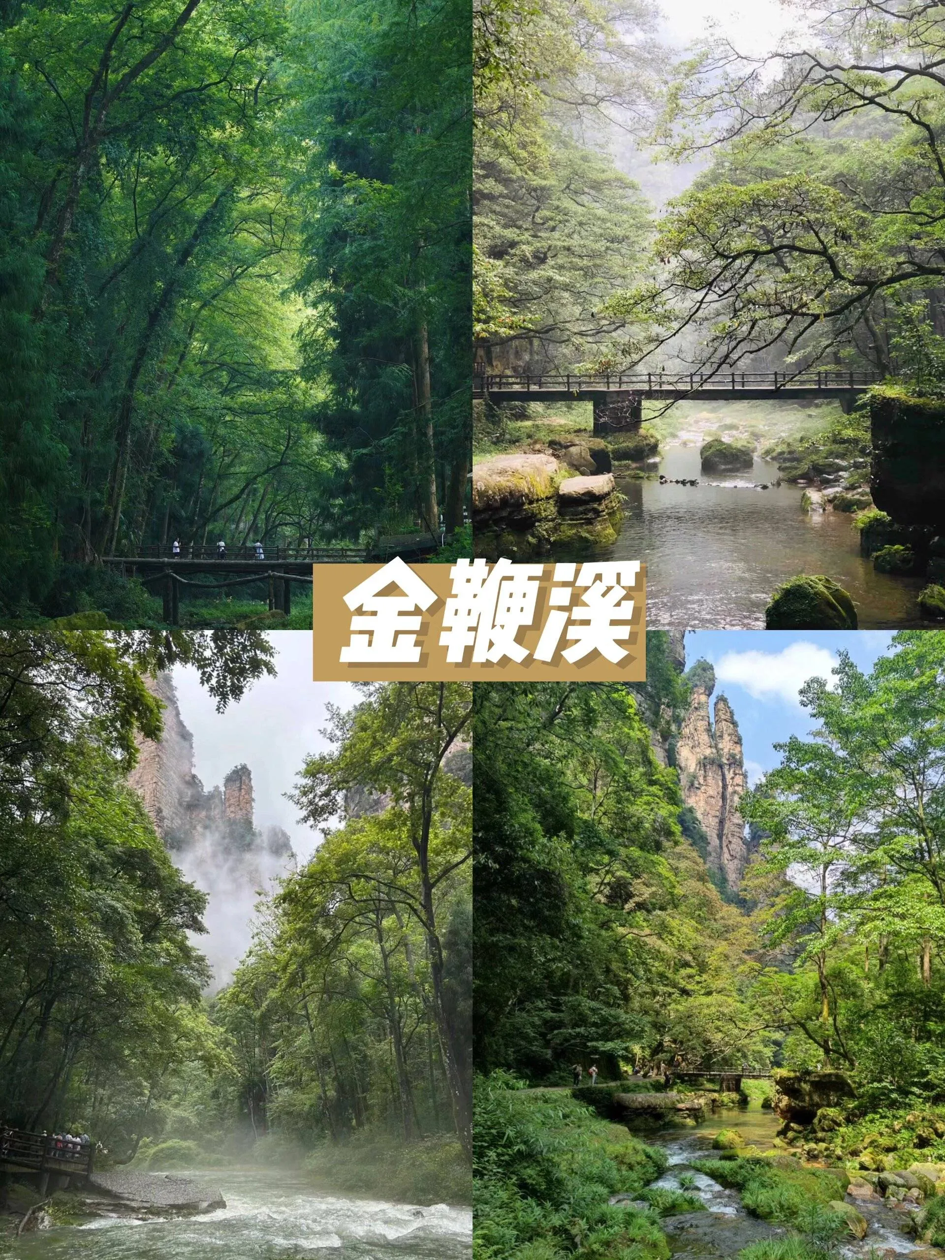 海东到张家界旅游攻略(海东到张家界旅游攻略一日游)
