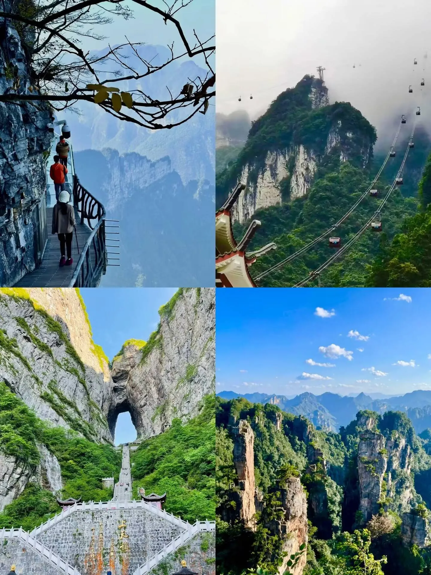 张家界旅游必去的什么地方(张家界旅游必去的什么地方好)