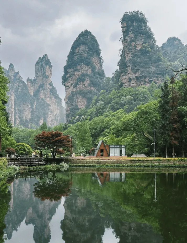 去张家界必游景点(去张家界必游景点推荐)