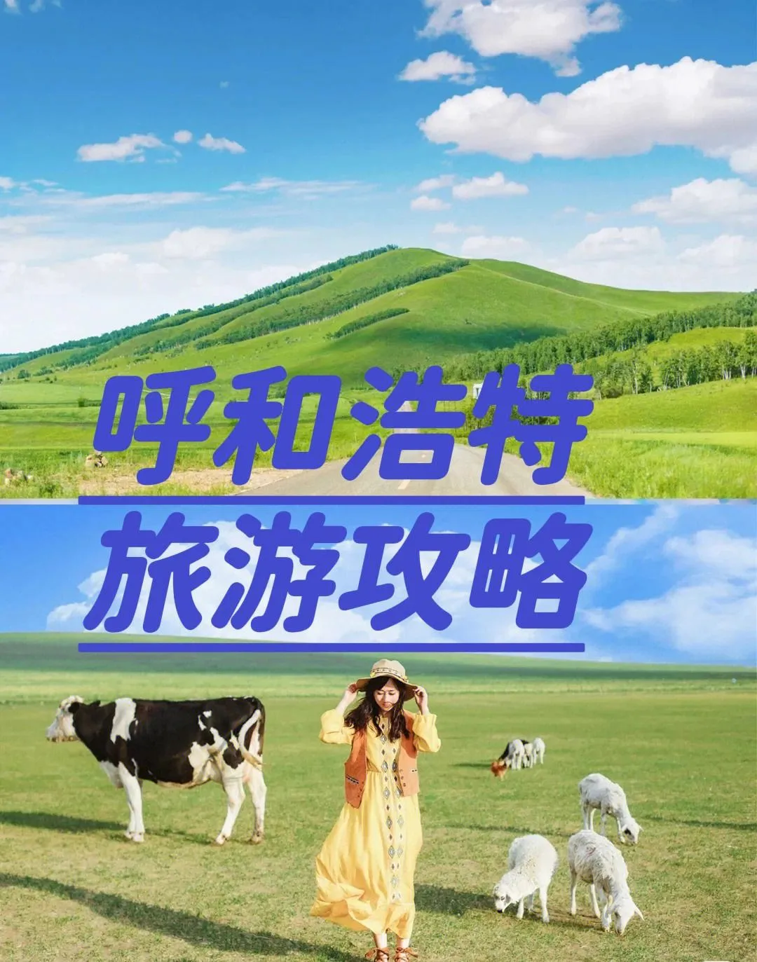 呼和浩特去张家界的旅游攻略(呼和浩特去张家界的旅游攻略图片)