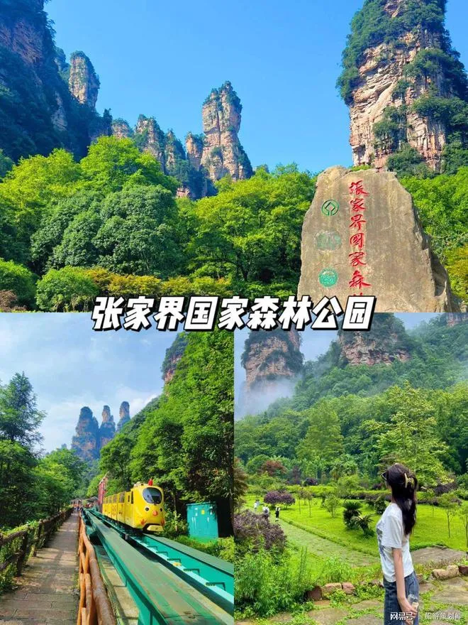 张家界到张家界天门山怎么走(张家界到张家界天门山怎么走方便)