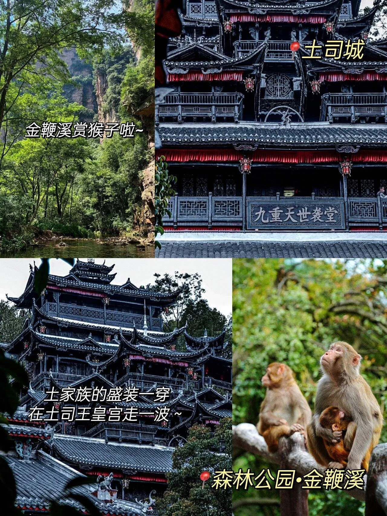 张家界天门山景区门票团购(张家界天门山景区门票价格多少钱?)