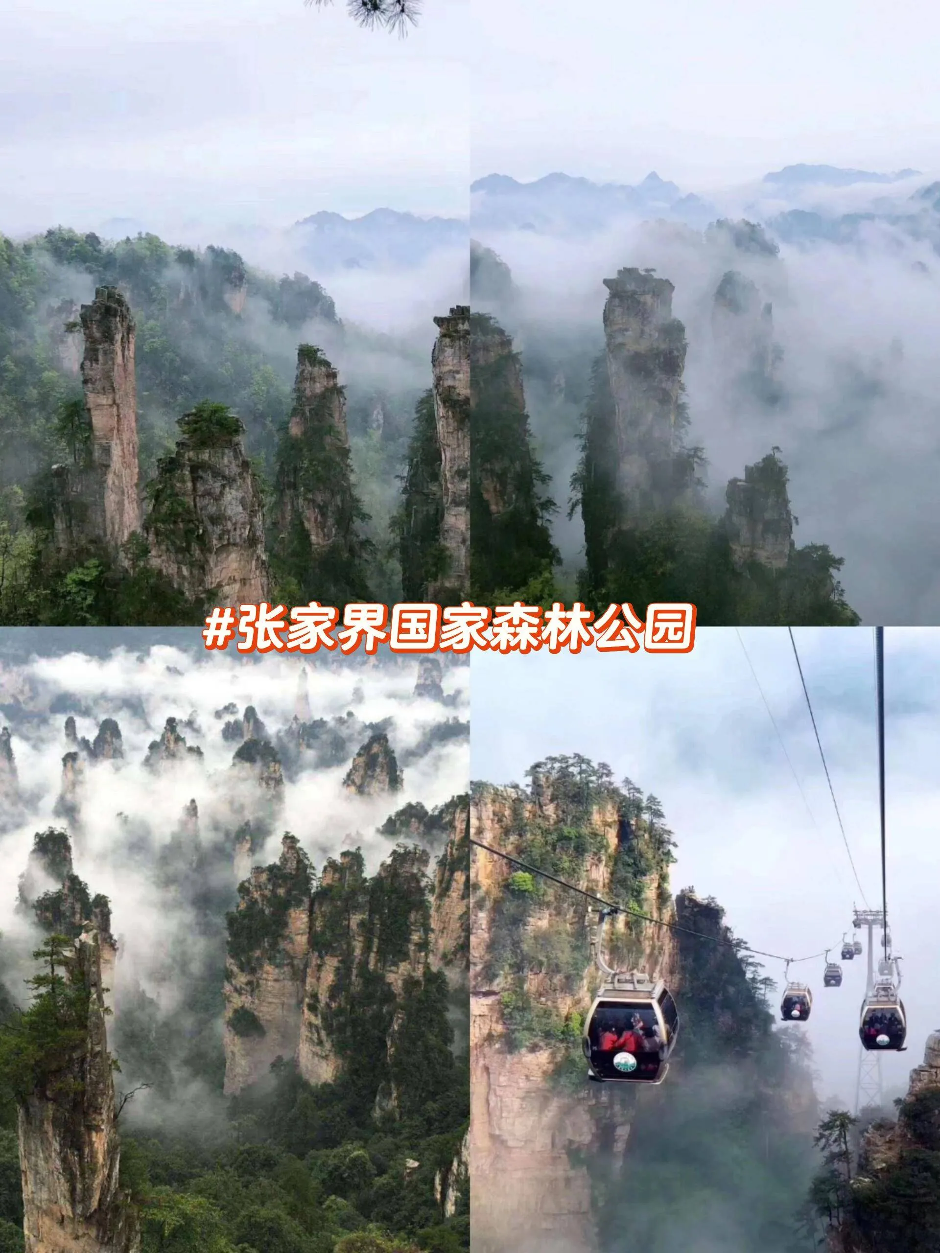 张家界天门山景区哪年开放的(湖南张家界天门山景区开放了吗)