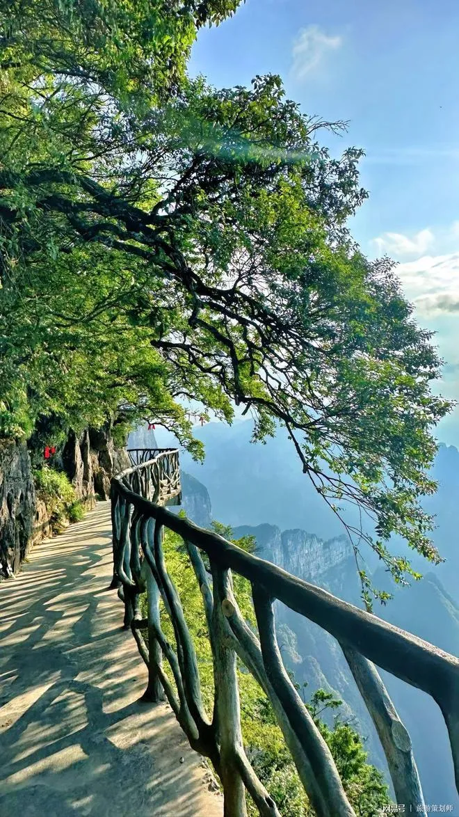 张家界天门山几点开放时间(湖南张家界天门山景区开放了吗)