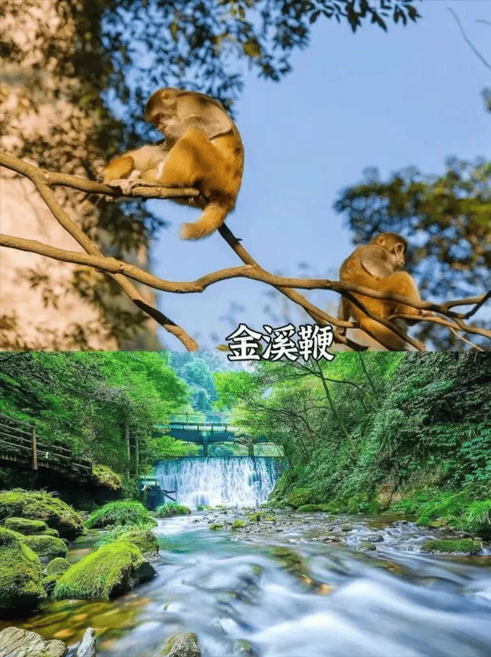 凤凰张家界游玩攻略(张家界凤凰旅游游记攻略)