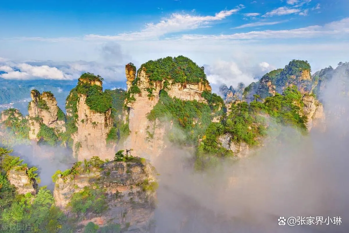 张家界旅游3(张家界旅游3月份穿什么衣服)