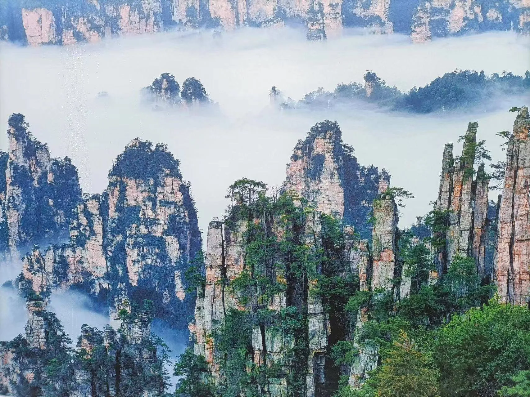 旅游旅游张家界张家界(旅游景点张家界旅游线路报价)