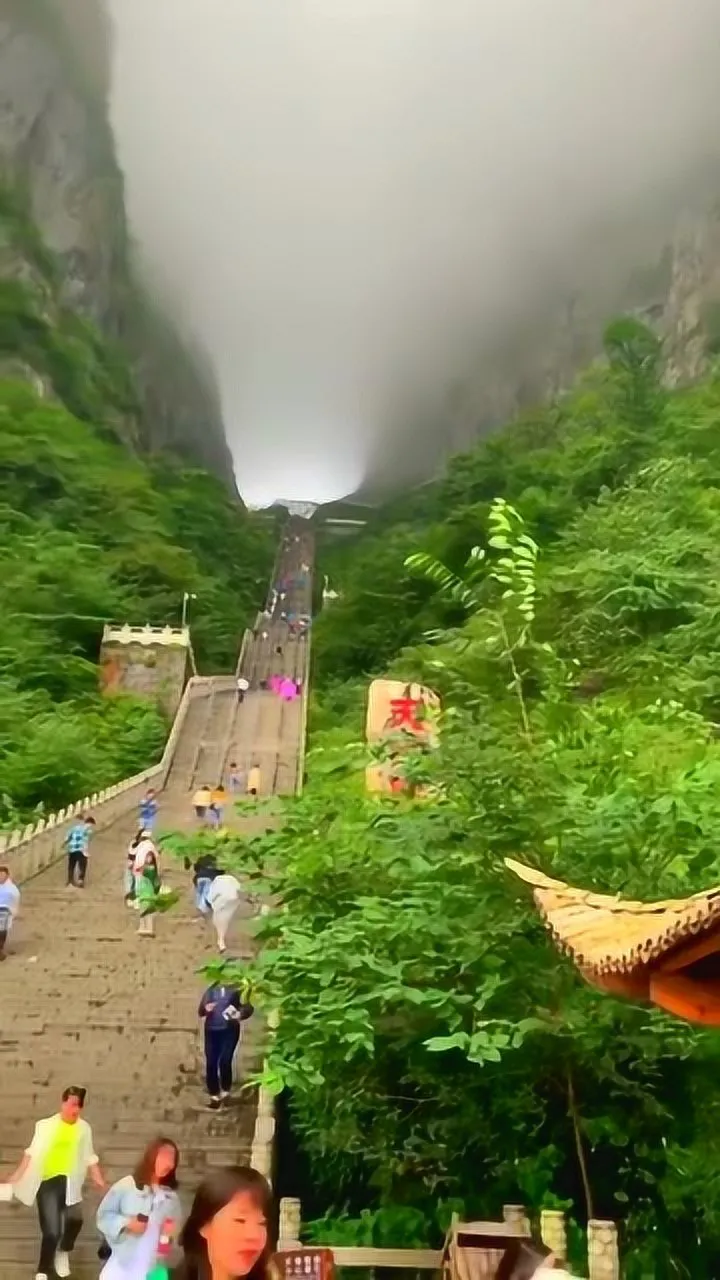 夏天适合去张家界天门洞旅游吗(夏天适合去张家界天门洞旅游吗知乎)