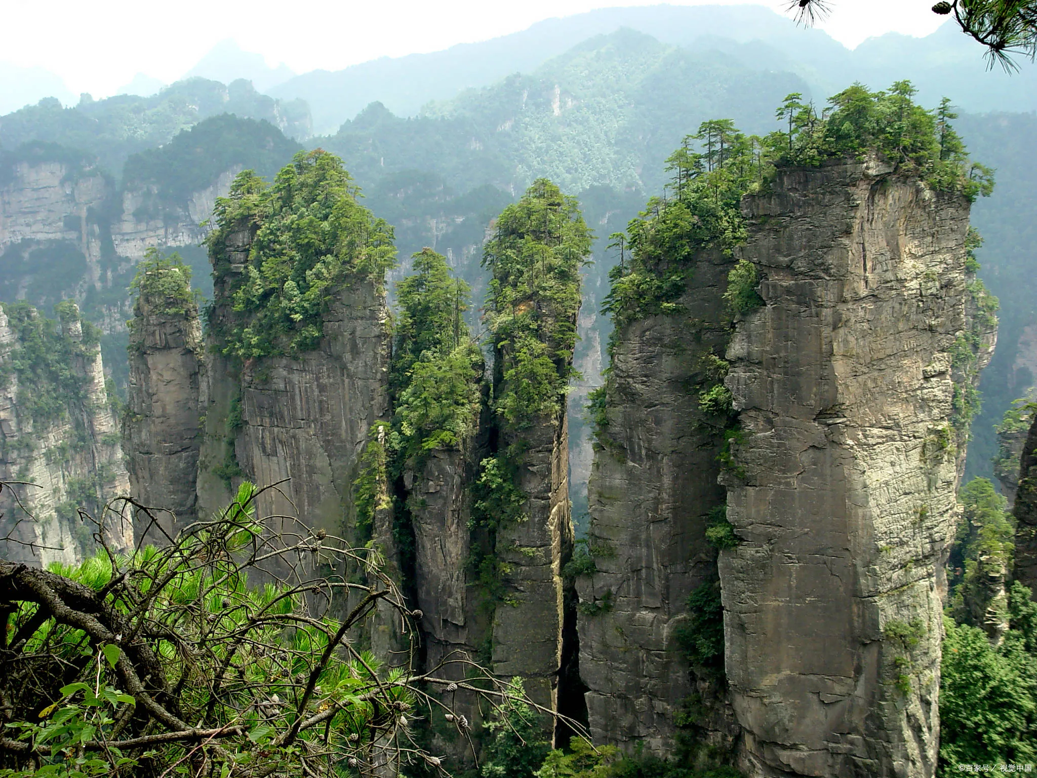 张家界之旅游(张家界旅游导游)
