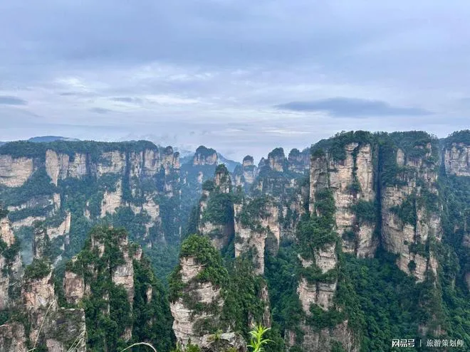 旅游至张家界报价(旅游至张家界报价多少钱)