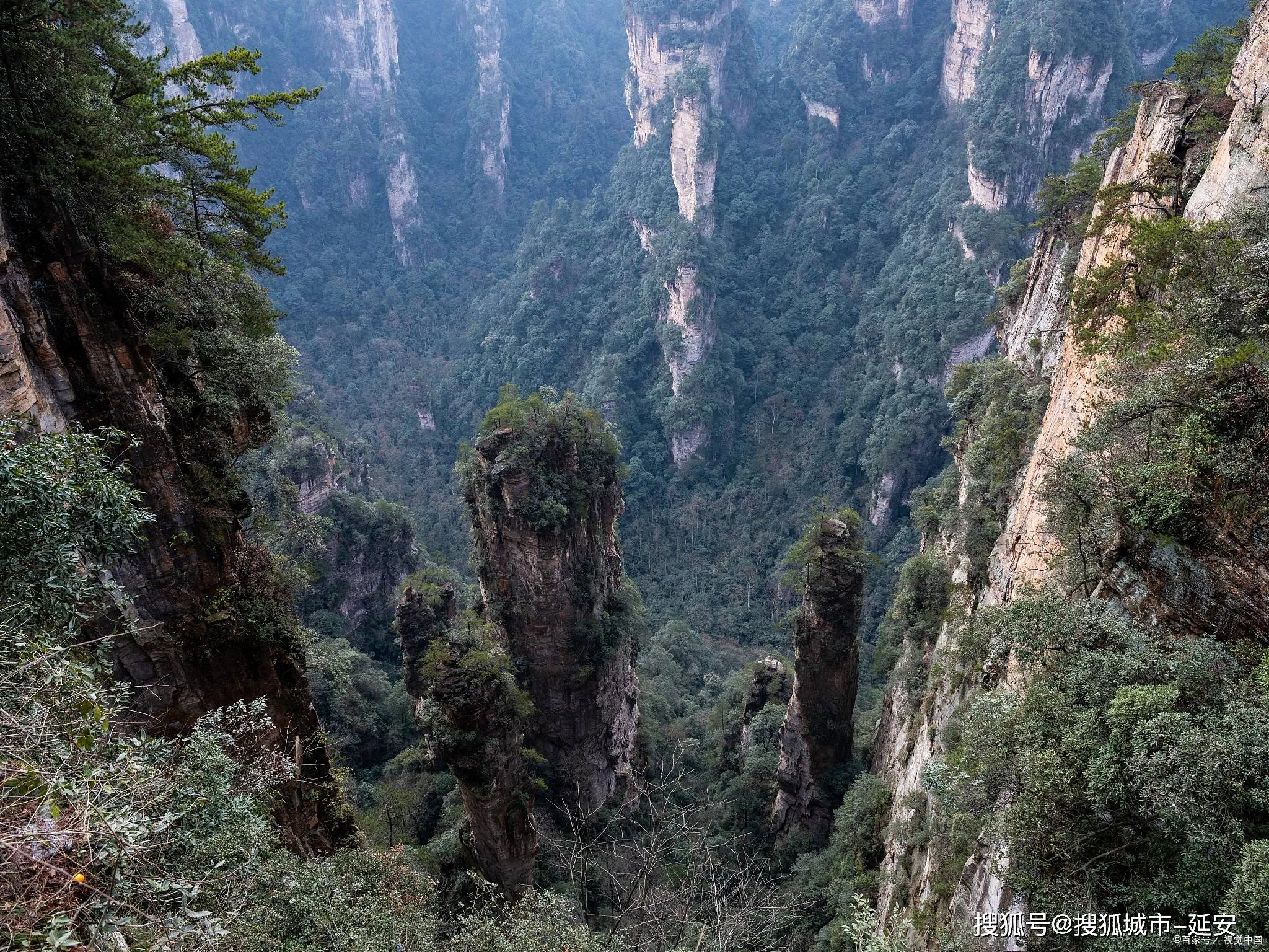 旅游去张家界要多少钱一天(旅游去张家界要多少钱一天呢)