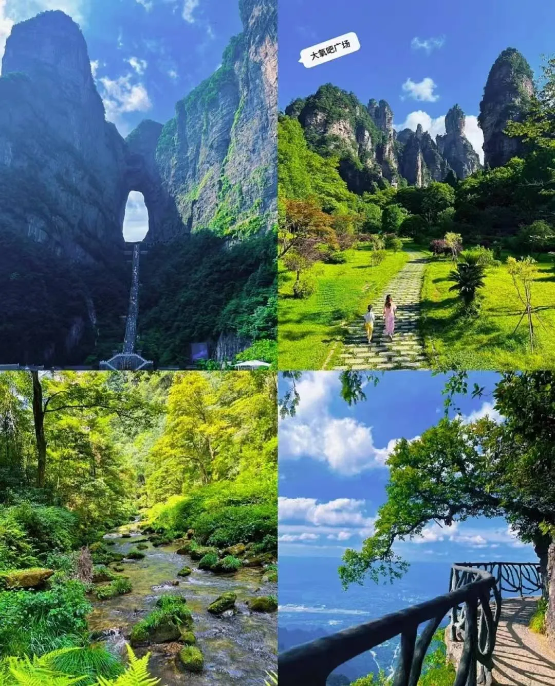 张家界自助3日游攻略(张家界自助3日游攻略图)
