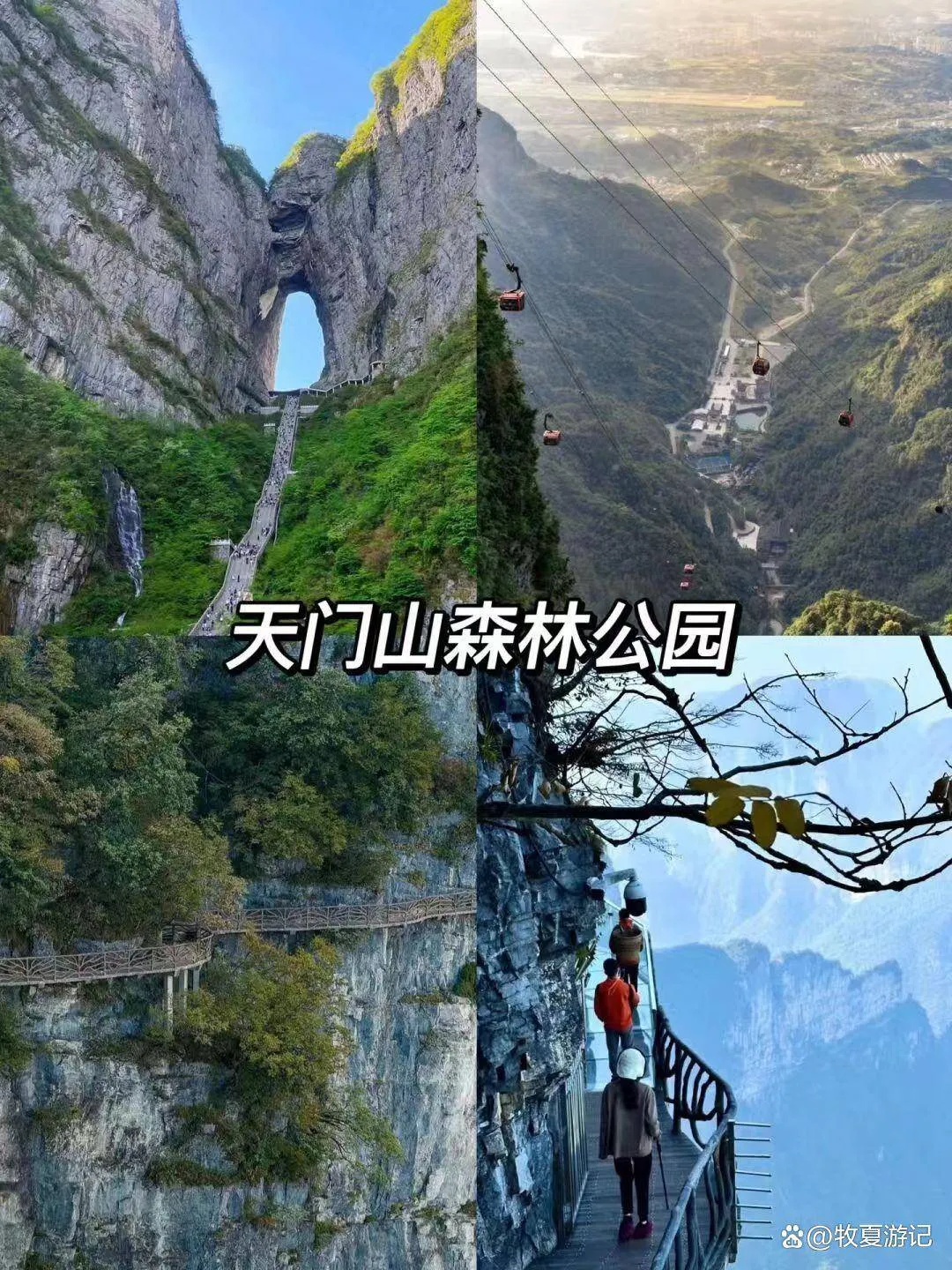 去张家界旅行游玩(去张家界旅游怎么样)