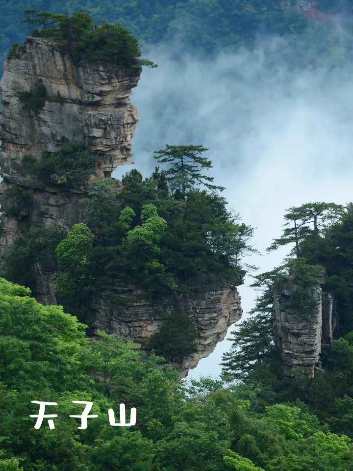 旅游三天张家界(张家界旅游自由行三天)