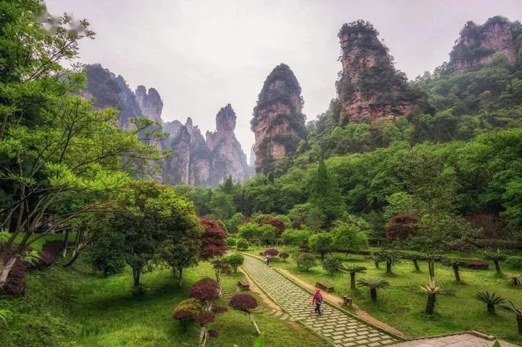 张家界的旅游旅游(张家界旅游旅游避坑)