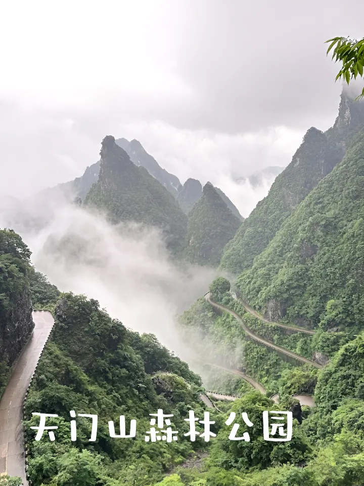 到张家界三天旅游(到张家界三天旅游要多少钱)