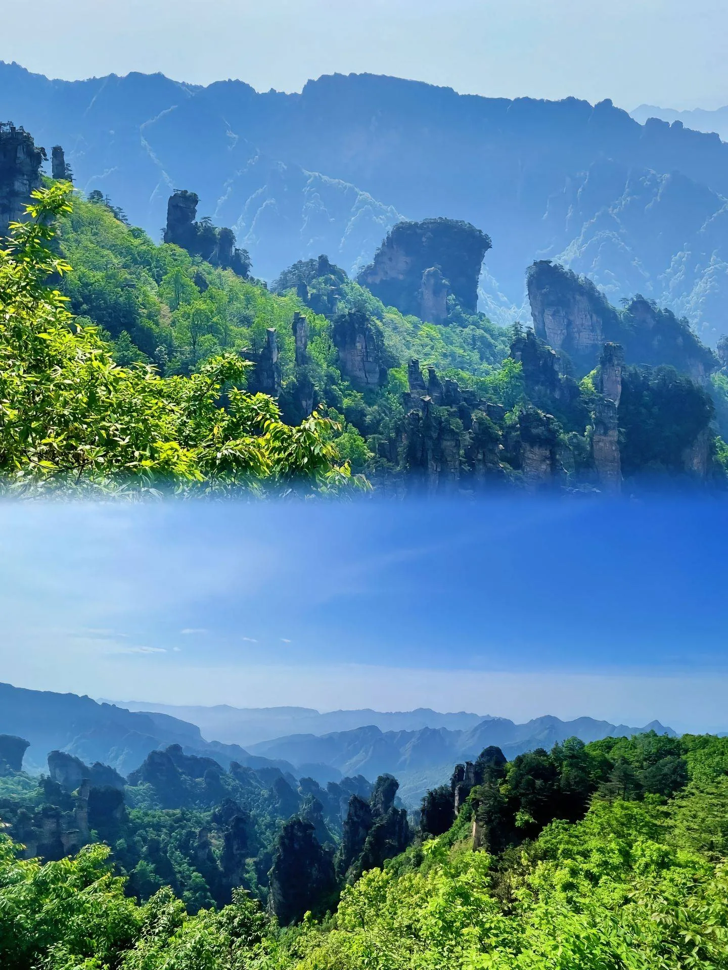 北京张家界旅游攻略和花费(北京张家界旅游3日游价格表)