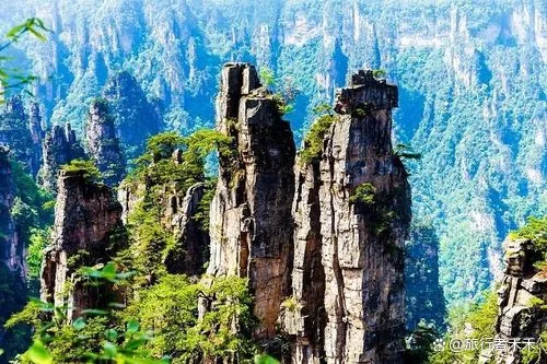 两个人去张家界玩三天多少钱(两人去张家界一个星期估计要多少费用?)